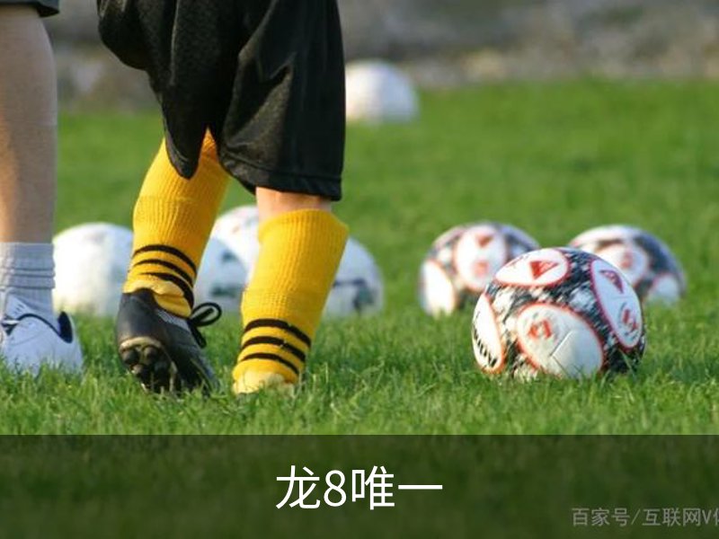 龙8-long8 (国际)唯一官方网站